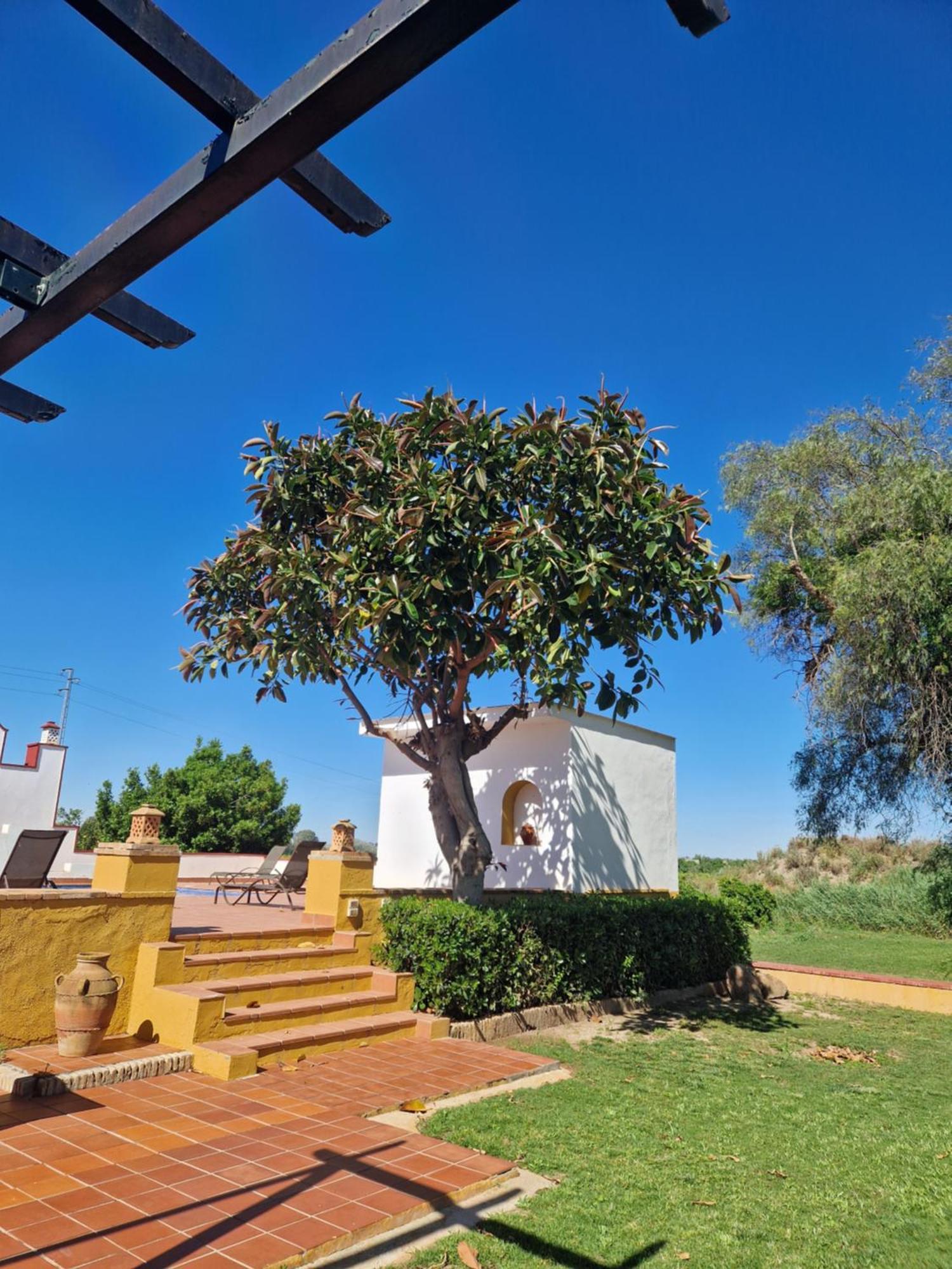 Precioso Cortijo Con Piscina Y Chimenea! Hébergement de vacances